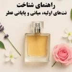 راهنمای شناخت نت‌های اولیه، میانی و پایانی عطر؛ همه چیز درباره ساختار رایحه‌ها
