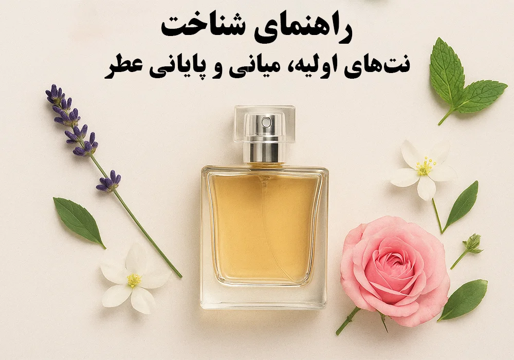 راهنمای شناخت نت‌های اولیه، میانی و پایانی عطر؛ همه چیز درباره ساختار رایحه‌ها